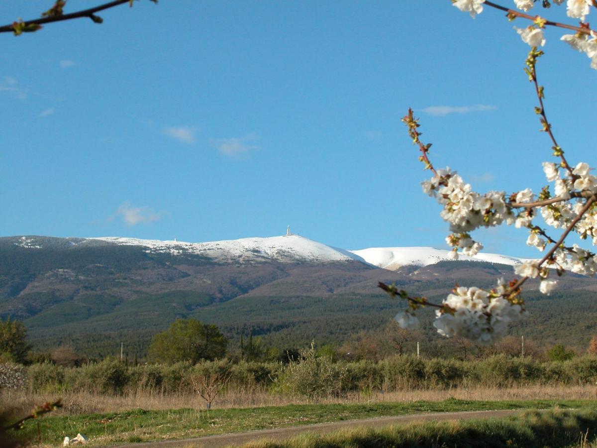 Villa Mas Boudeissoun - Coeur De Cerise - Baignade A 600 M Mormoiron Esterno foto